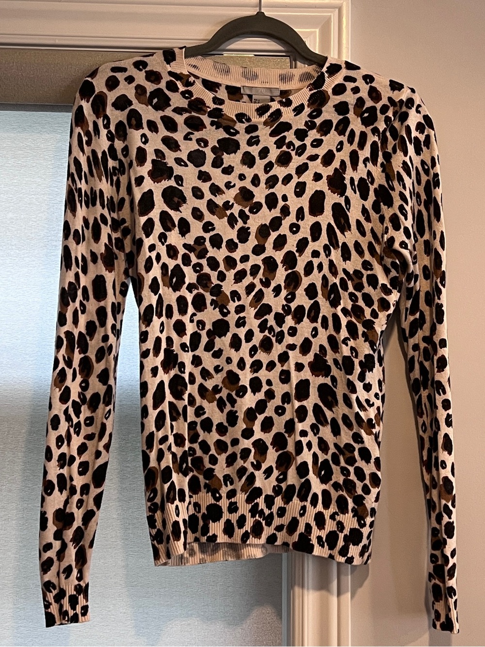 H&M Leopard Print Long-Sleeve Crewneck Top - Cream & Black